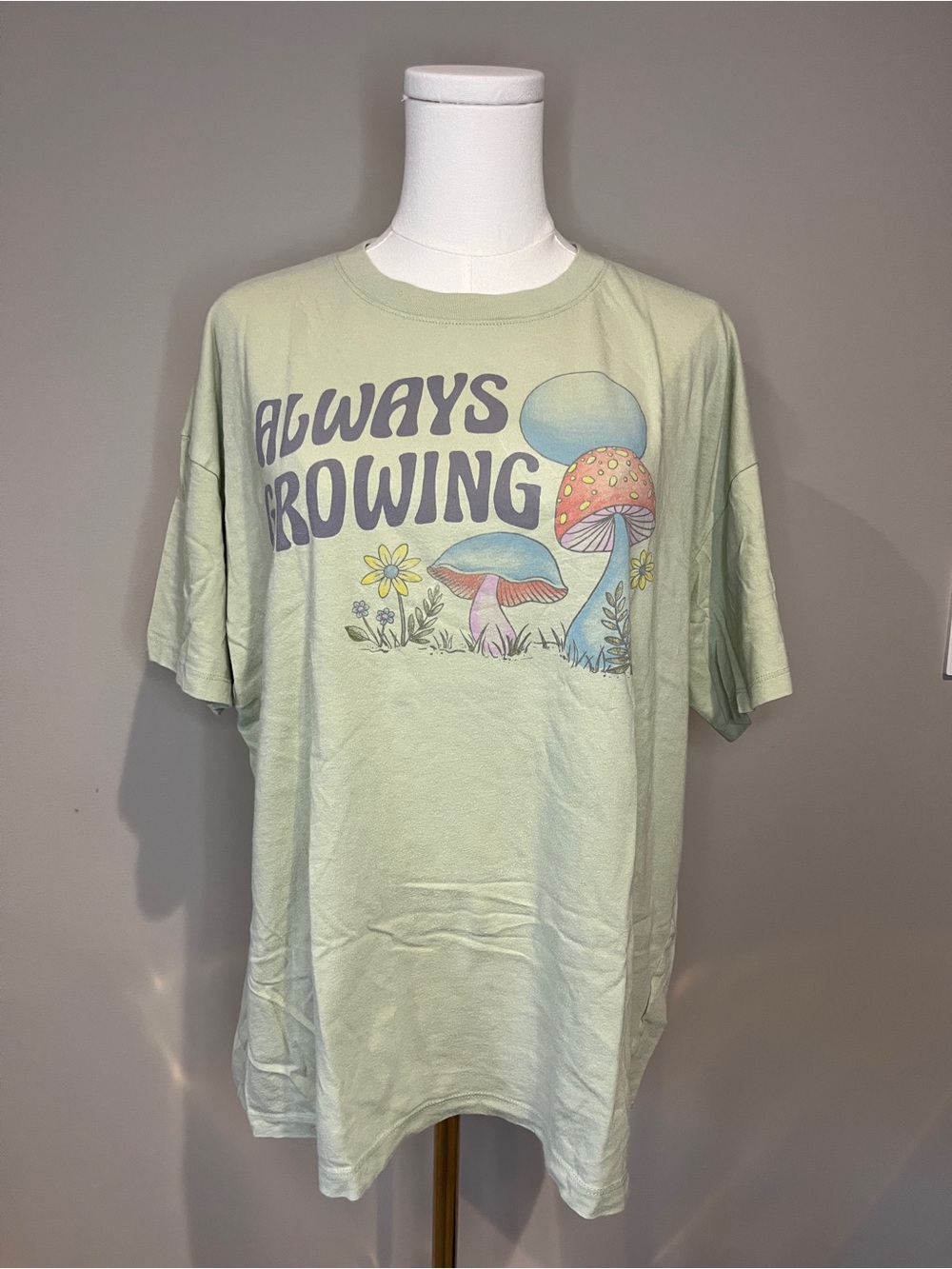 American Eagle Outfitters Sage Green Crewneck Tee